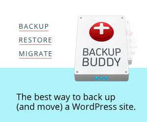 Wordpress Backup Plugin - Backup Buddy