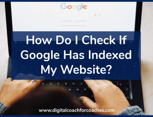 Has Google Indexed My Site?