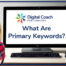 What are primary keywords?