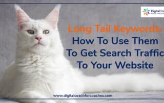 Long Tail Keywords: how to use them to get search traffic to your website