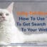 Long Tail Keywords: how to use them to get search traffic to your website