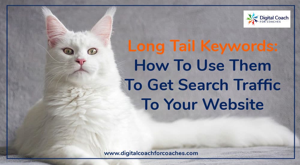 Long Tail Keywords: how to use them to get search traffic to your website